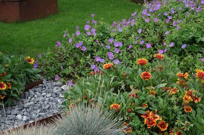 parterre de fleurs sans entretien
