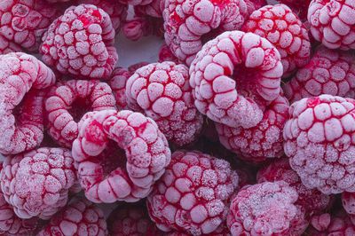 Comment bien congeler les framboises�?