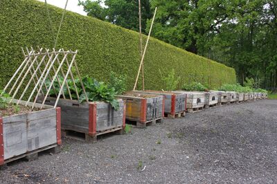Notre jardin en bacs sur�lev�es � Lubera � voit le jour : jardin exp�rimental et projet communautaire