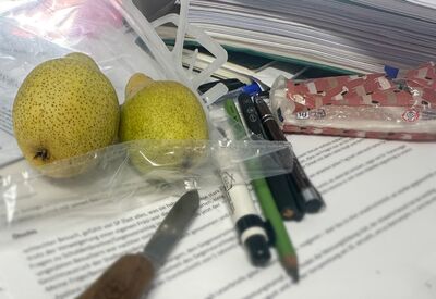 Ne pas tenir dans sa peau...