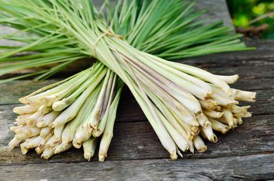 Planter de la citronnelle - voici comment proc�der�!