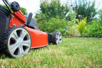 Rasen m&auml;hen im Garten