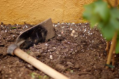 La meilleure terre pour les framboisiers — De quelle terre les framboisiers ont-ils besoin�?