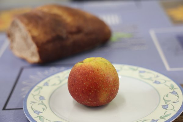S&eacute;lection pomme sans p&eacute;pins 2021/22 Seedless Apple s&eacute;lection parcelle d&rsquo;essai p&eacute;pini&egrave;re Buchs, pomme enti&egrave;re, s&eacute;lection 2<sup>e</sup>&nbsp;niveau, Lubera