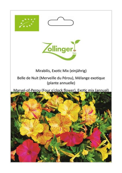 Mirabilis, Exotic Mix (einj�hrig)
