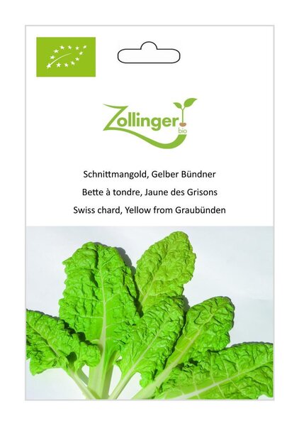 Schnittmangold, Gelber B�ndner
