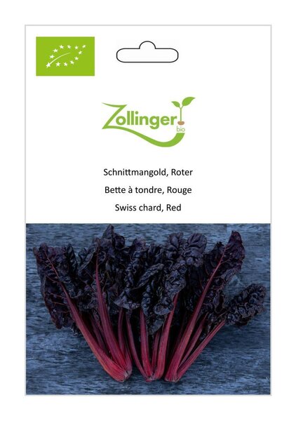 Schnittmangold, Roter