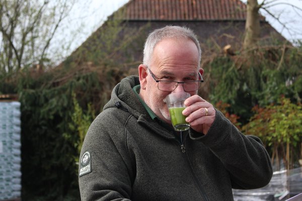 Pr&eacute;paration du th&eacute; Matcha, r&eacute;colte de Camellia sinensis, th&eacute; cam&eacute;lia, th&eacute; Matcha, th&eacute; vert, Markus sent le th&eacute; Matcha fra&icirc;chement infus&eacute;