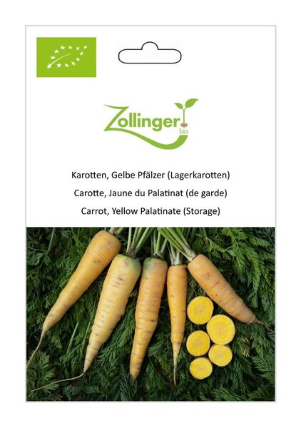 Karotte, Gelbe Pf�lzer (Lagerkarotten)