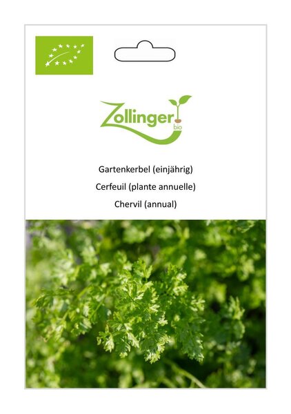 Gartenkerbel (einj�hrig)