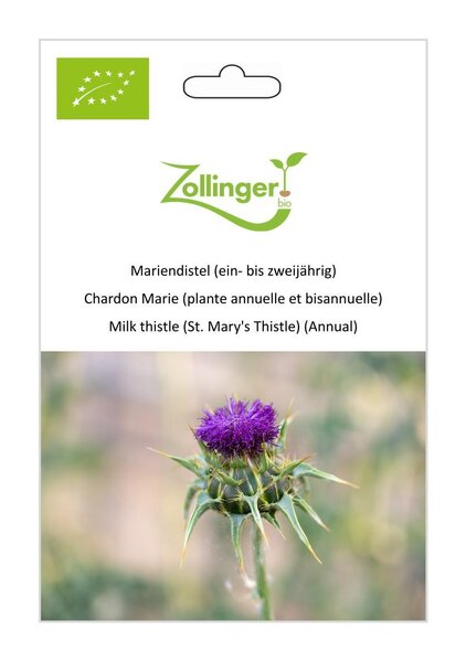 Mariendistel (ein- bis zweij�hrig)