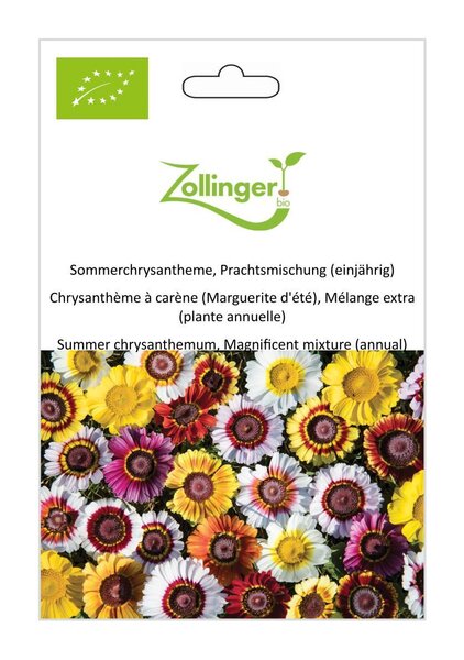 Sommerchrysantheme, Prachtsmischung (einj�hrig)