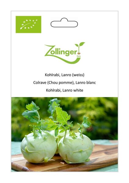 Kohlrabi, Lanro (weiss)