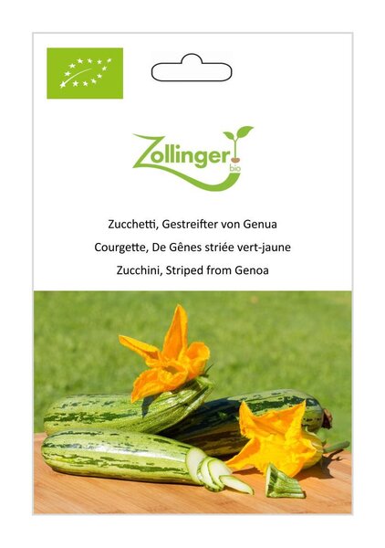 Zucchetti, Gestreifter von Genua