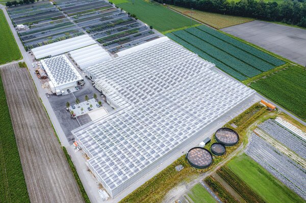 Nouvelle construction d'une serre Lubera Suisse agripv ewb Photovolta&iuml;que Buchs