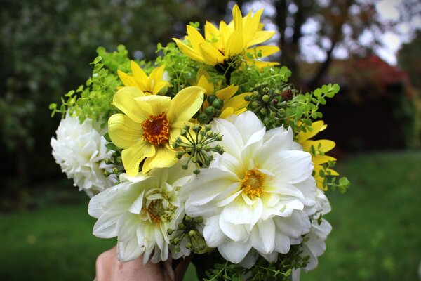 Bouquet de dahlias, vari&eacute;t&eacute;s de dahlias Happy Single Party, Karma Serena et Myama Fubuki, dahlia, h&eacute;lianthe &agrave; feuilles de saule (Helianthus salicifolius)
