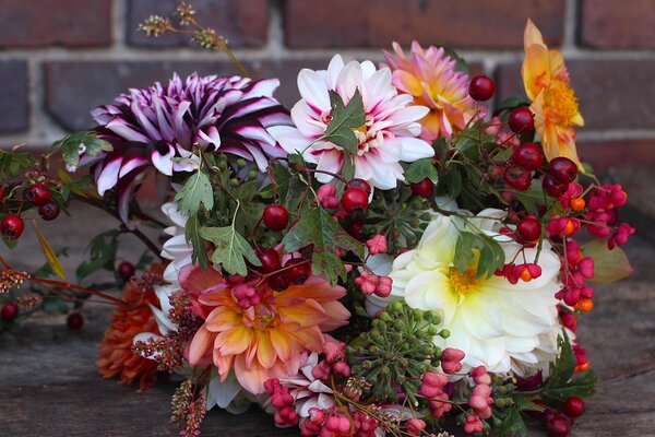 Dahlias, fleurs coup&eacute;es, vase, dahlia