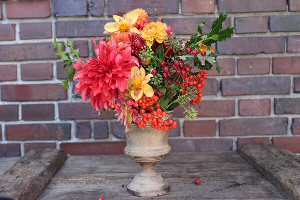 Bouquet de dahlias, Dahlia, Fleurs coup&eacute;es