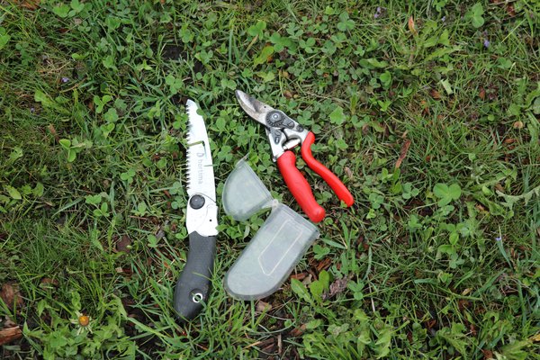 Tailler le figuier, outils Lubera