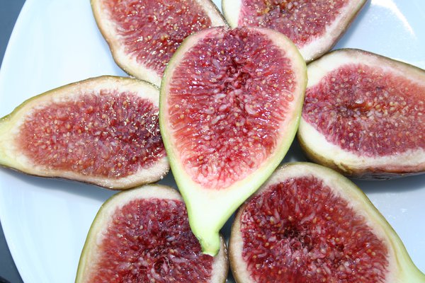 Gustissimo&reg; Perretta, Figuier, Ficus carica, Twotimer, figues bif&egrave;res