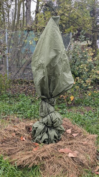 Protection hivernale pour plantes en pot, Lubera