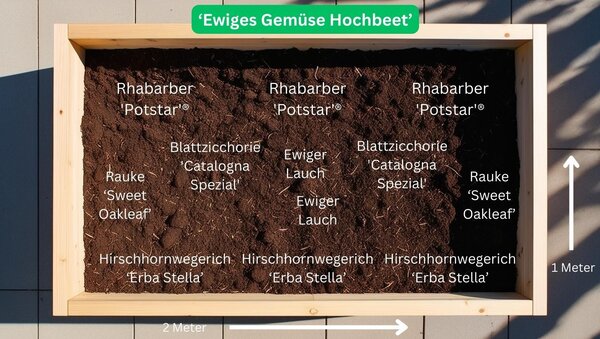 Set Gem&uuml;sepflanzen Bundle Gem&uuml;sebeet ?Ratatouill Hochbeet? Pflanzplan