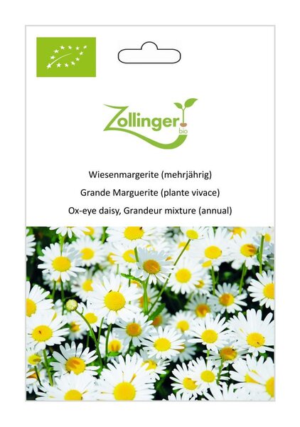 Wiesenmargerite (mehrj�hrig)