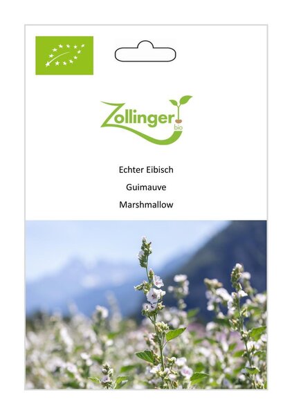 Echter Eibisch