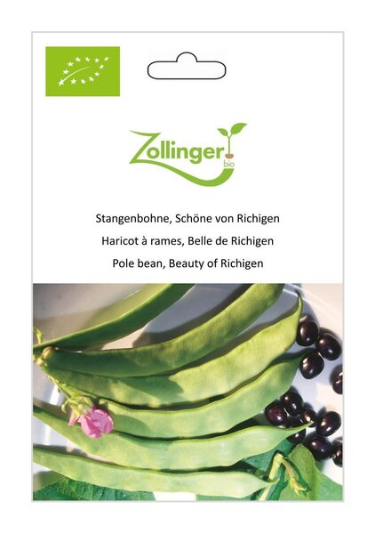 Stangenbohne, Sch�ne von Richigen