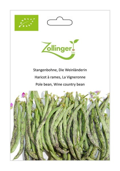 Stangenbohne, Die Weinl�nderin