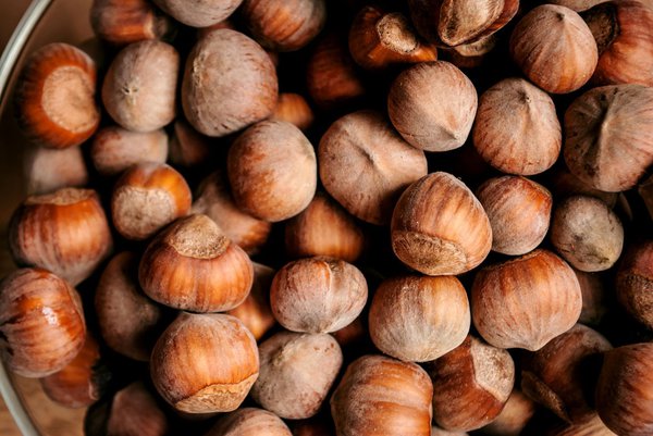 Conservez les noisettes dans un endroit sec