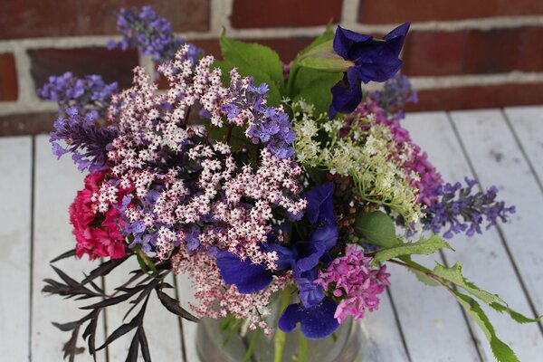 Planter un sureau, Lubera