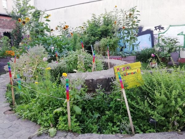 Un jardin propre en ordre ? Le jardin bien entretenu, un devoir social, jardin urbain &agrave; Francfort