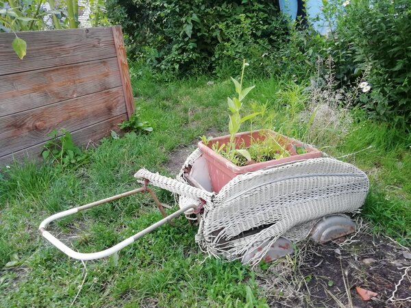 Un jardin propre en ordre ? Le jardin bien entretenu, un devoir social