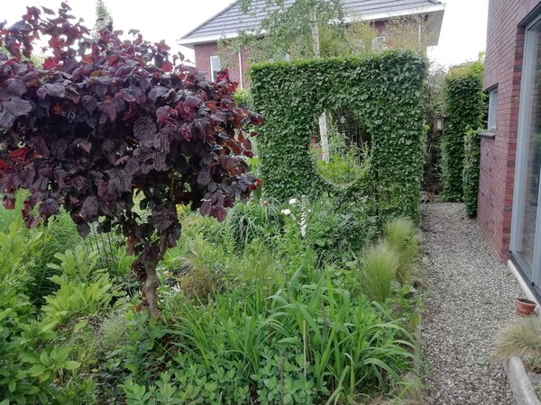Jardin de devant am&eacute;nag&eacute; avec de nombreuses vivaces fleuries
