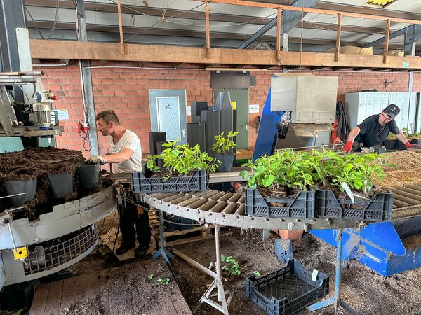 Machine � pots, Bad Zwischenahn, BZ, mai 2026
