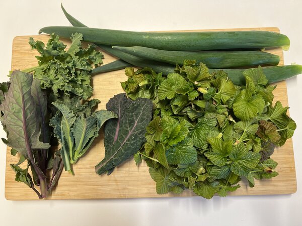 Cassissima, cassis, Ribes nigrum, feuilles, salade