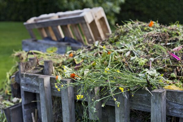 Tas de compost plein