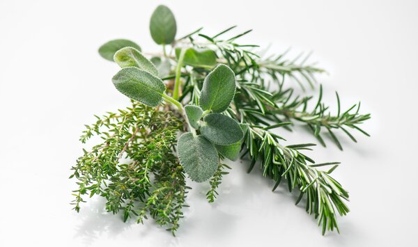 herbes aromatiques