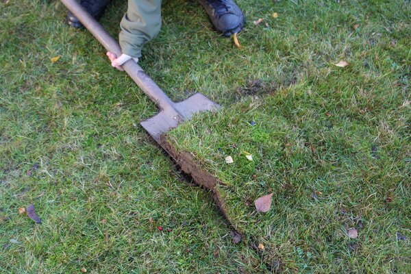 Soulever la pelouse pour planter les bulbes &agrave; diff&eacute;rentes profondeurs