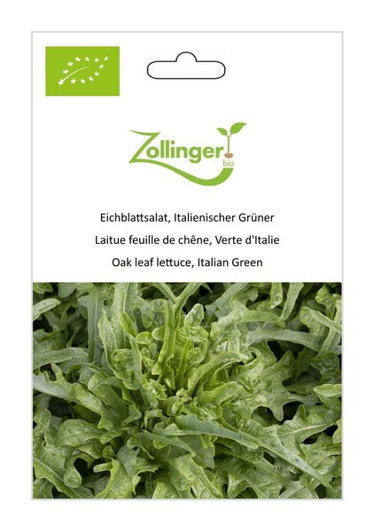 Eichblattsalat, Italienischer Gr�ner