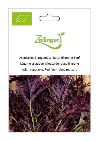 Asiatisches Blattgem�se, Senf 'Roter filigraner'