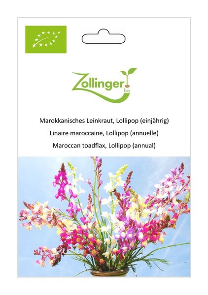 Marokkanisches Leinkraut, Lollipop (einj�hrig)