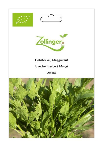 Liebst�ckel, Maggikraut
