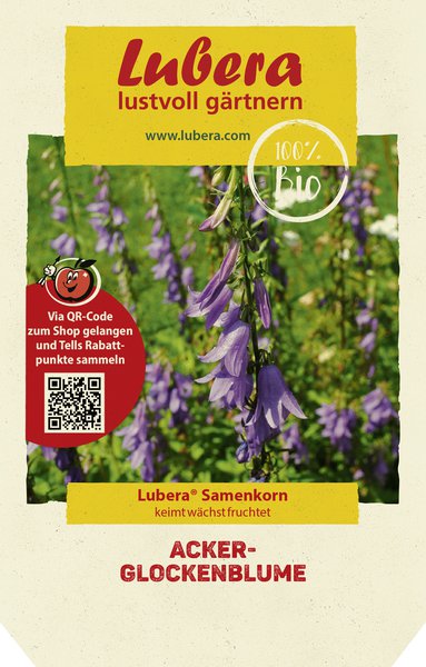 Acker-Glockenblume