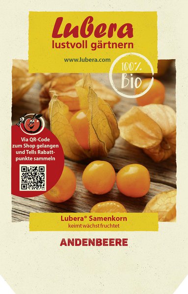Andenbeere