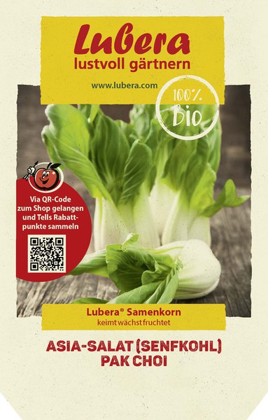 Asia-Salat (Senfkohl) Pak Choi