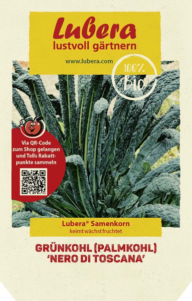 Gr�nkohl (Palmkohl) - Federkohl 'Nero di Toscana'