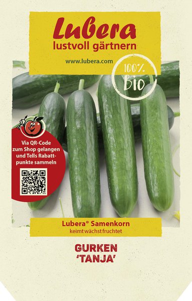 Gurken 'Tanja' Samen