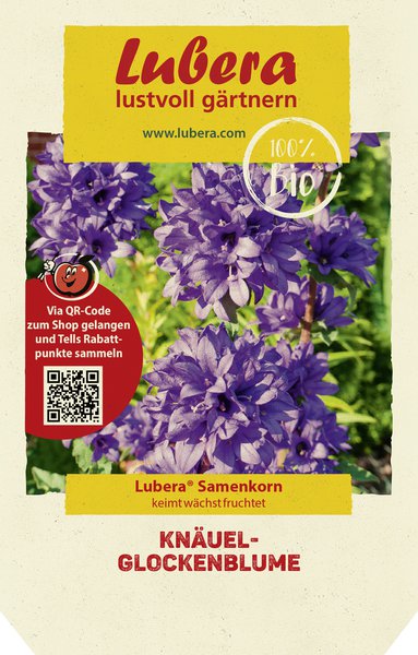 Kn�uel-Glockenblume